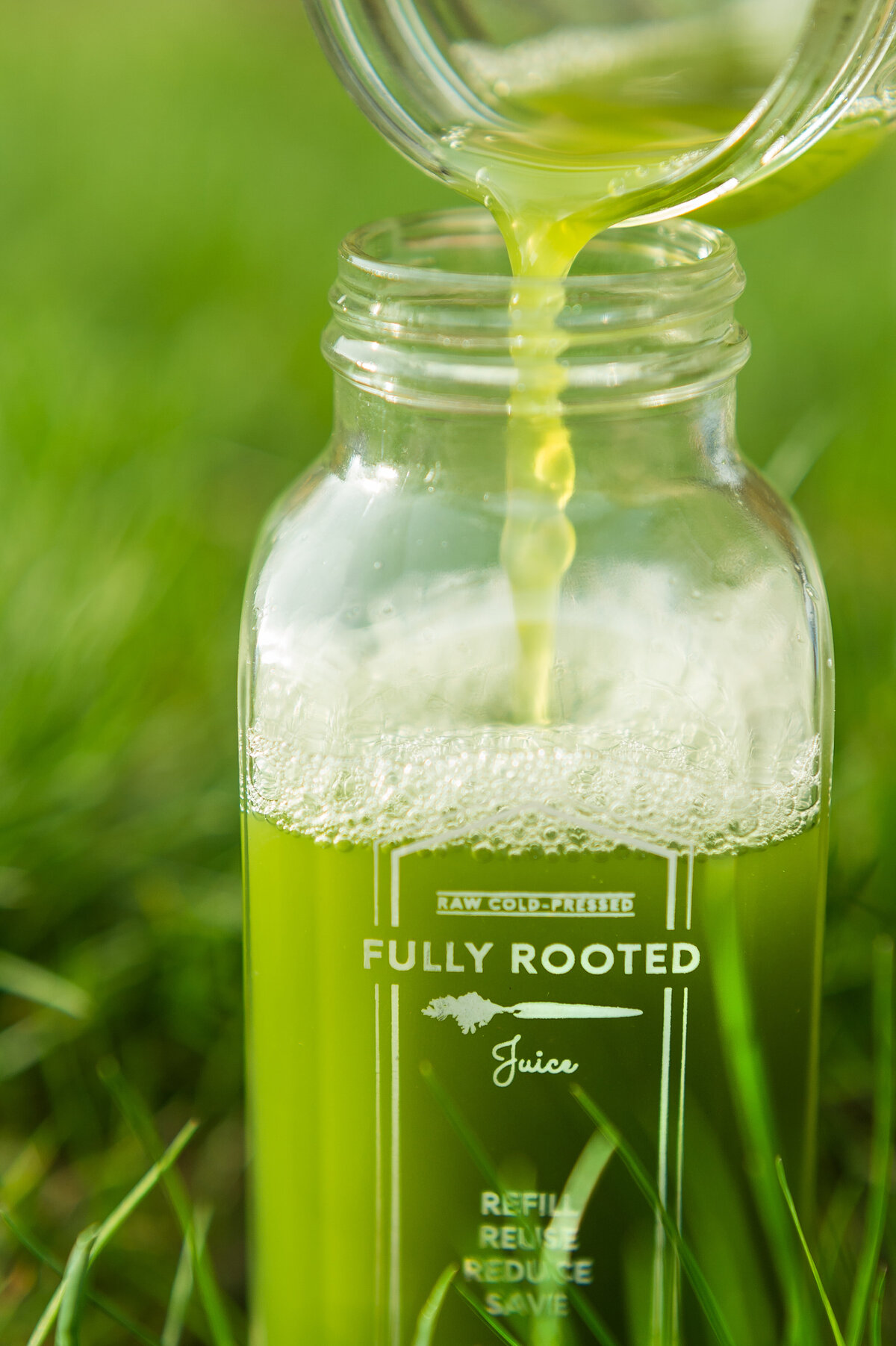 PattyJ_WickedTulipFarm_FullyRooted_FatFaceRI_doyledelights_staceydoyle_319