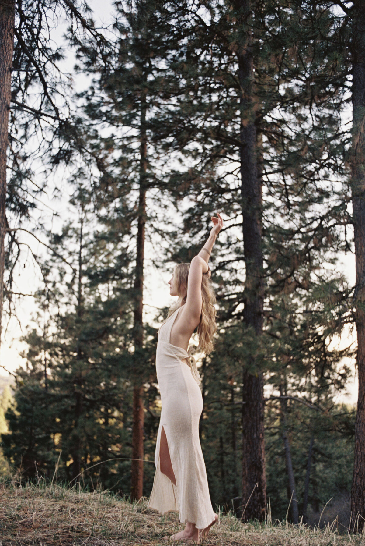Sun Valley Wedding Photographer-star (12 of 16)