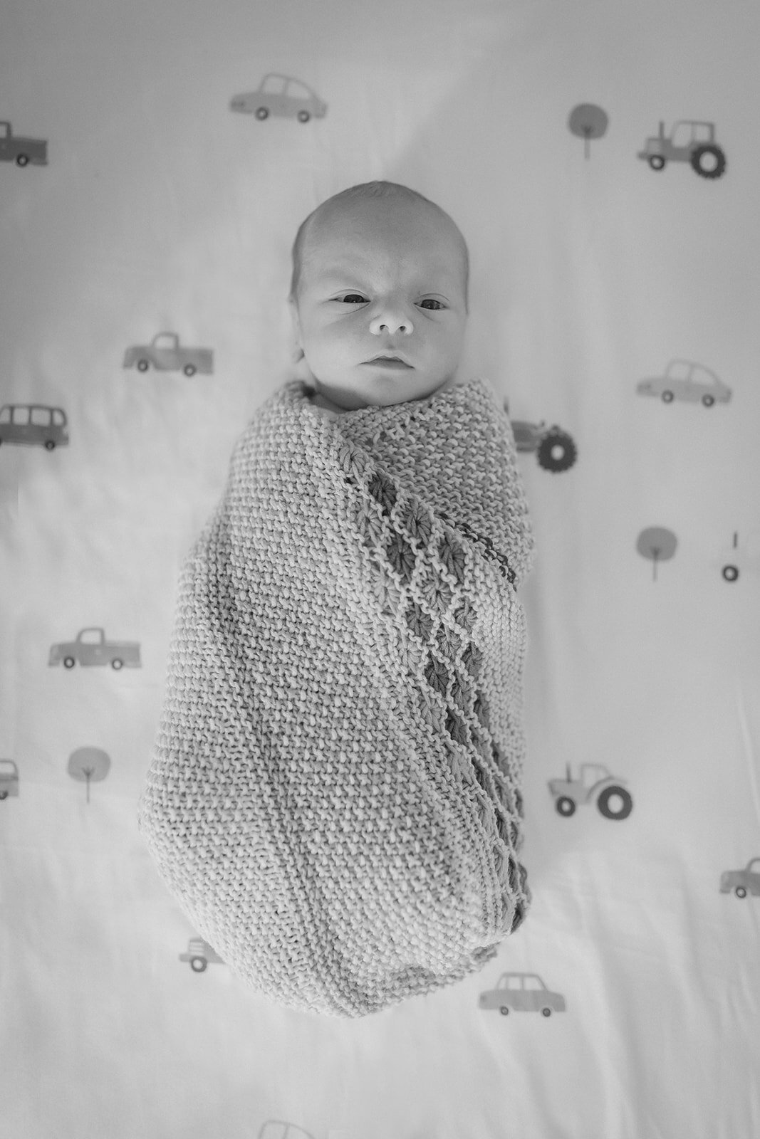 BabyLuca-95