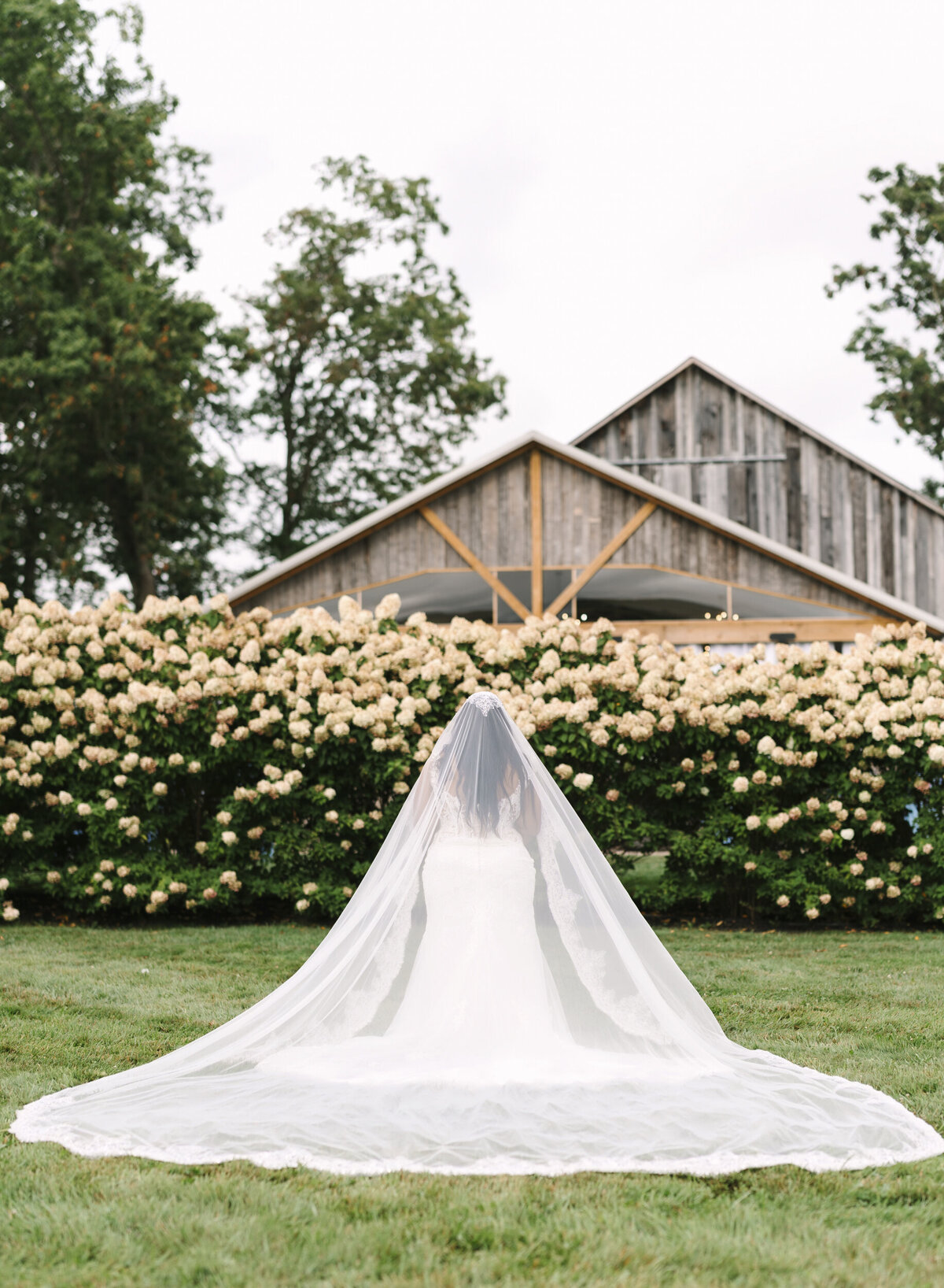WVWedding-141