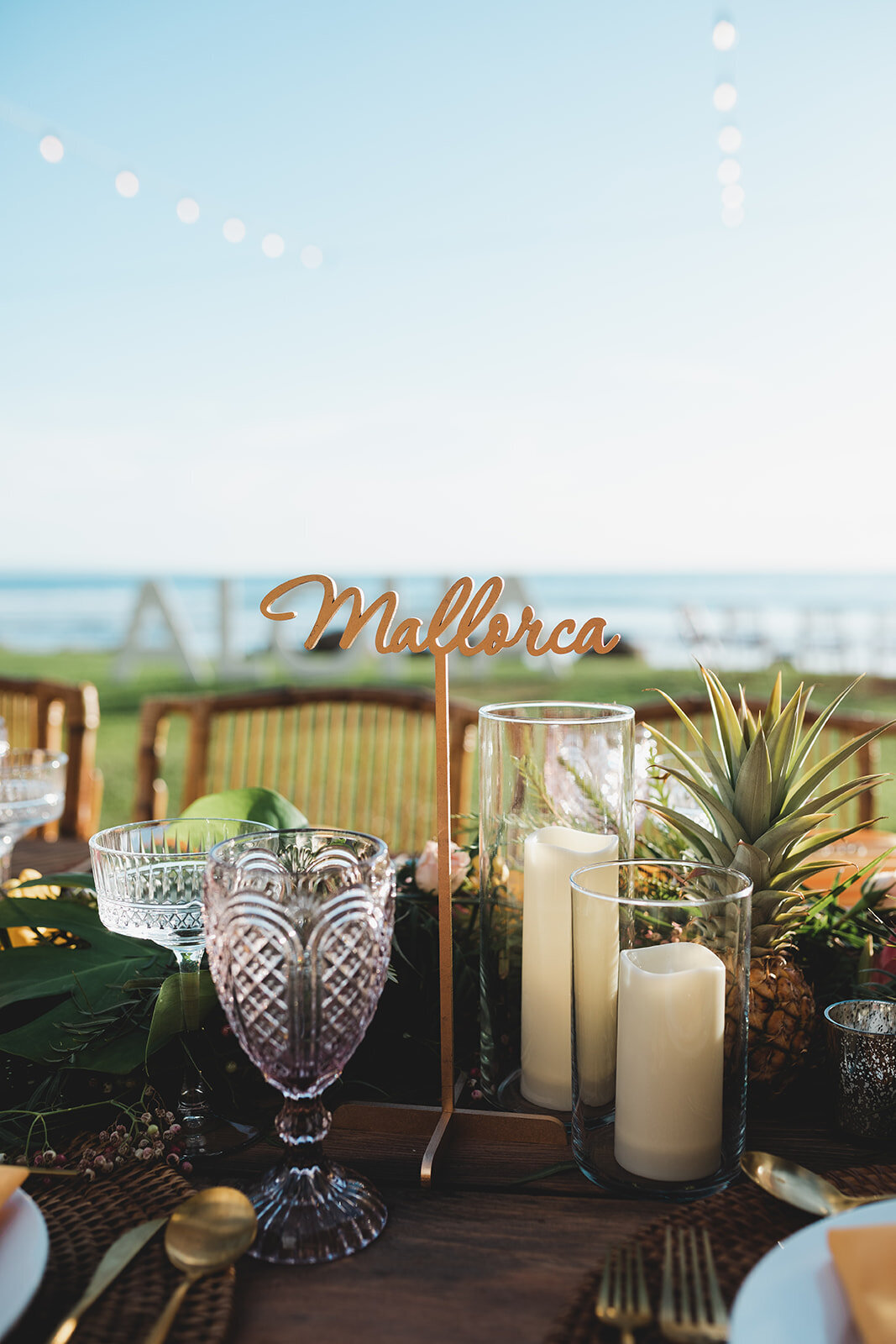 Danica&Spencer-417