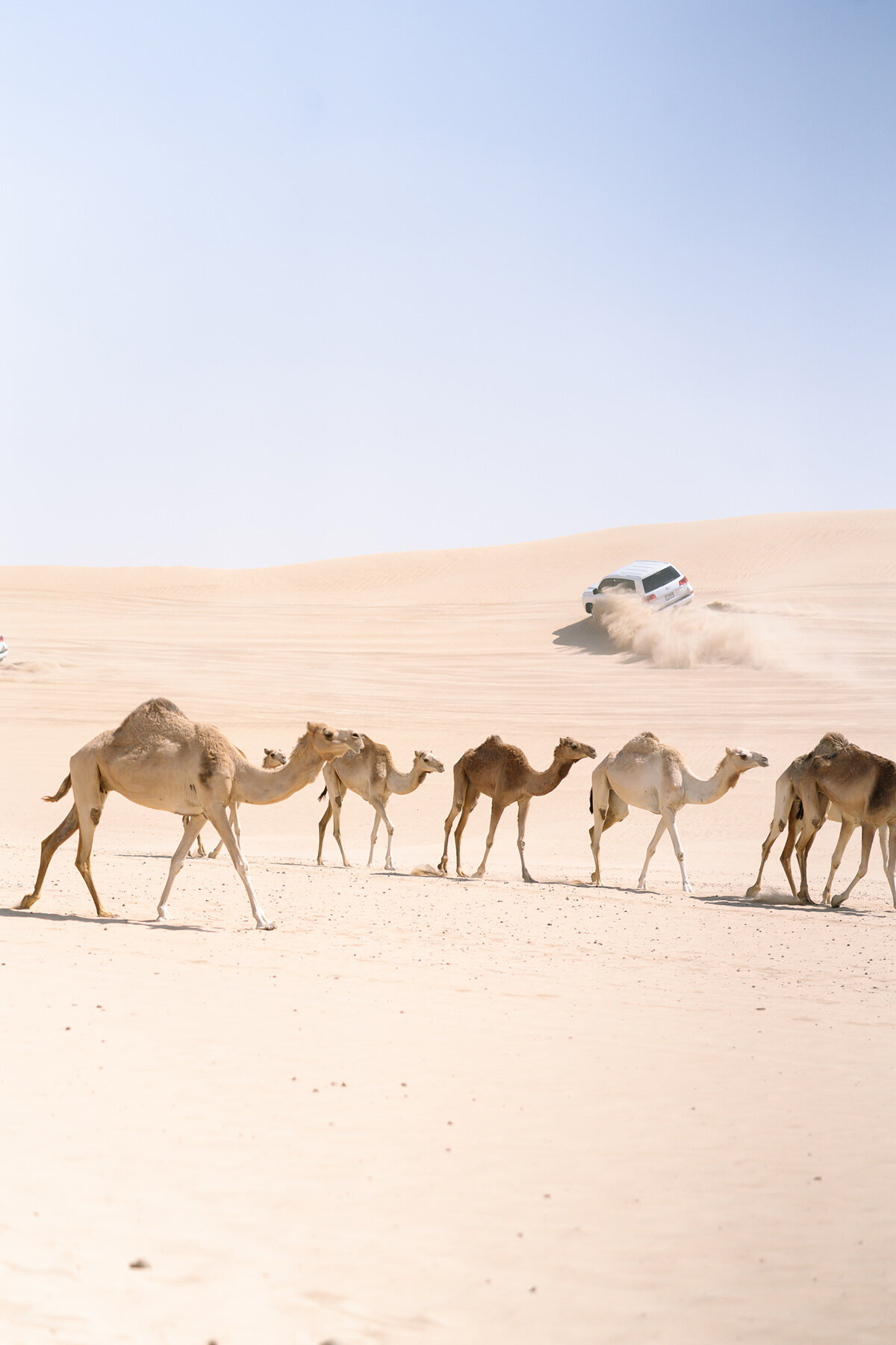 Michelle Norwood Living - Luxury Travel Inspiration - Dubai - thejoee_0362