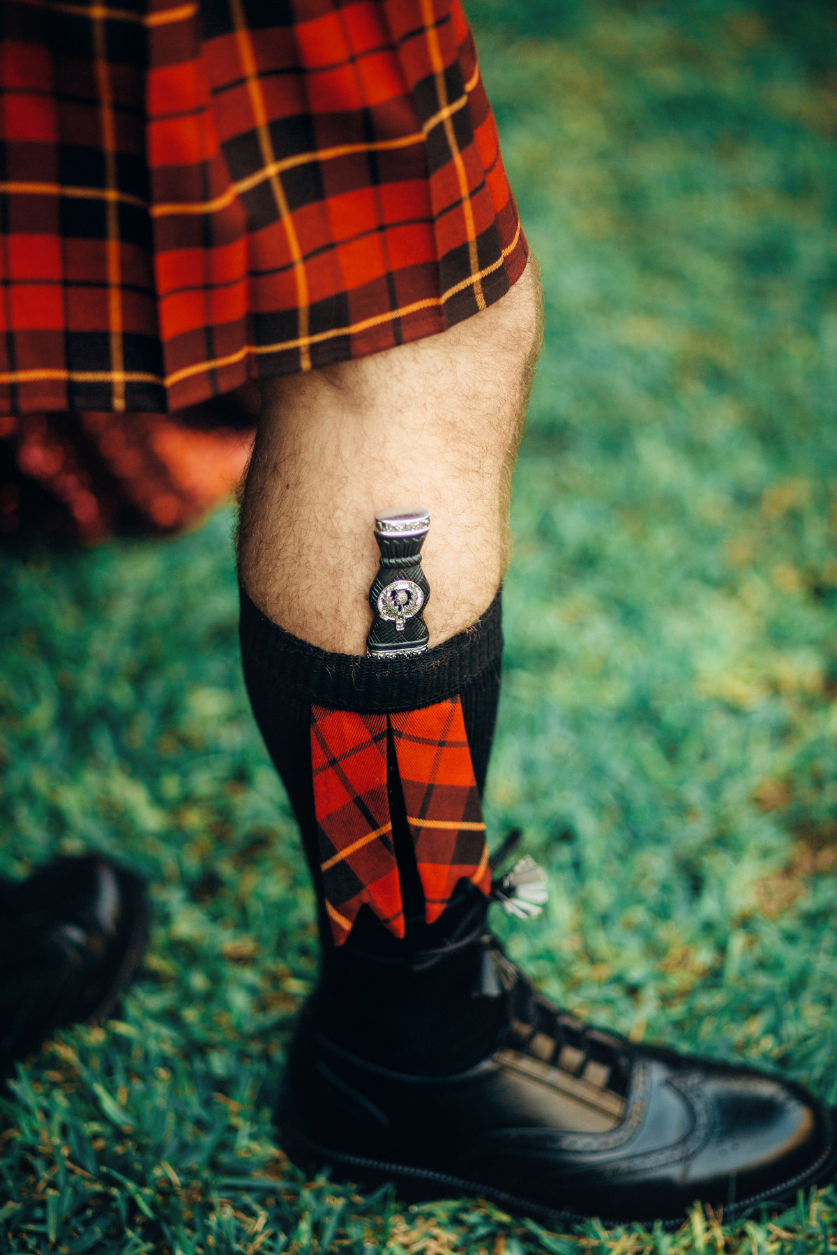 Scottish Groom Leg Photo