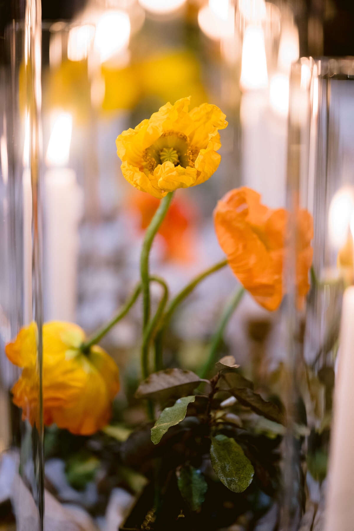Guardian-Works-Wedding-0103