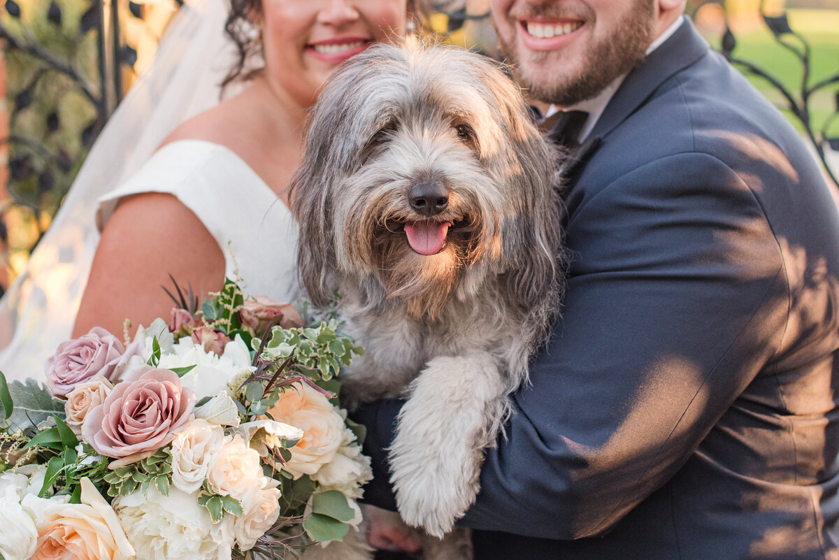 wedding couple with dog on wedding day