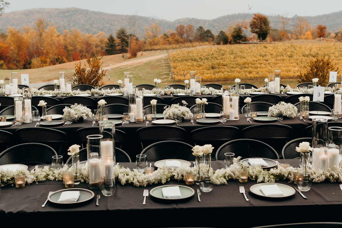 Harrison and Madison - Reception-9_websize