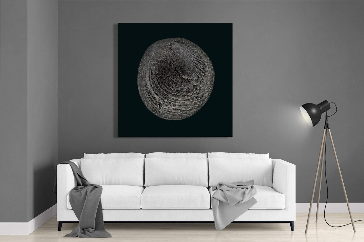 Fine Art featuring Project Stardust micrometeorite NMM 2889 Matte Dibond Panel for space inspired interior design