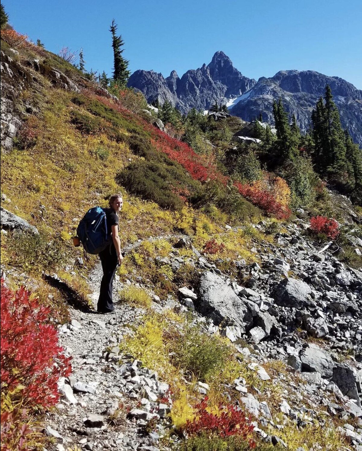 Screenshot 2024-11-07 164501