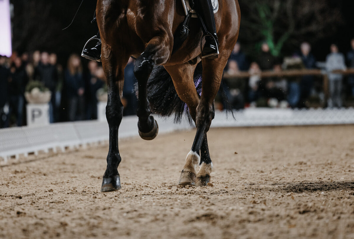 Fichtenhof_Classics_Stoibphotography-3