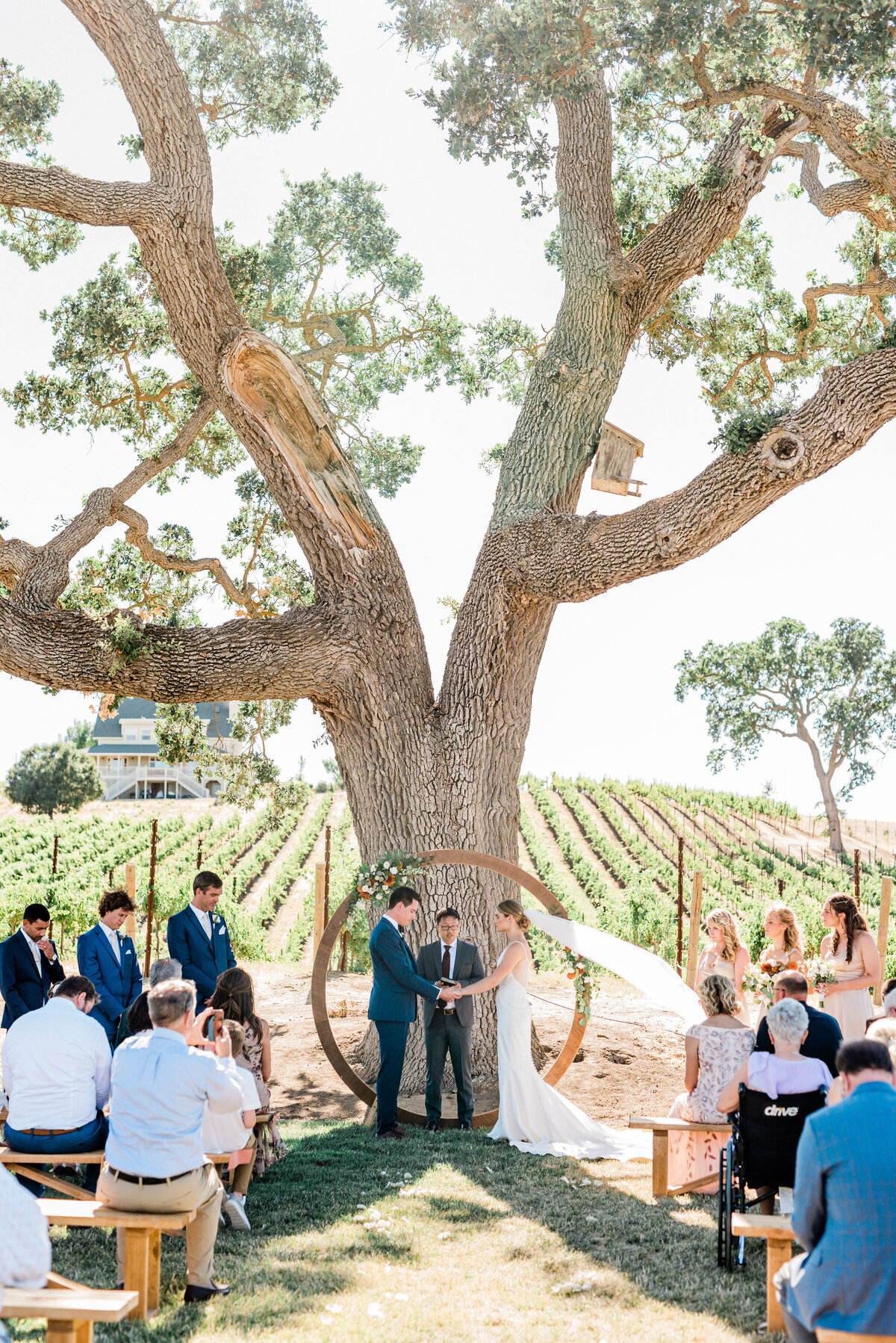 Bride and groom during their wedding ceremony under giant oak tree at Ella's Vineyard in San Luis Obispo, while guests watch as they say their vows.