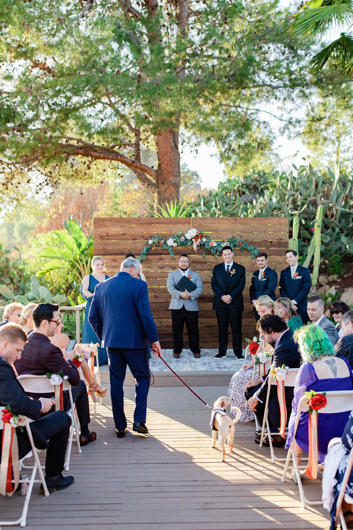 father of the bride walks dog down the aisle