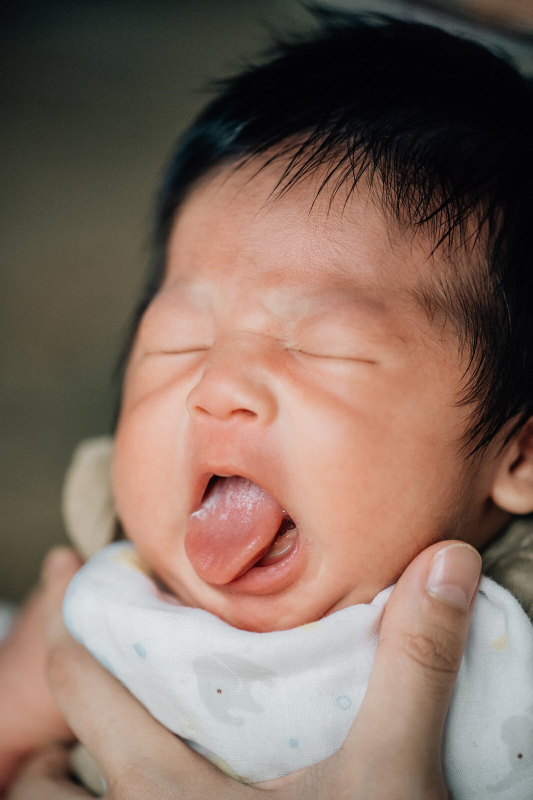gifu-aichi-newborn-photo-3