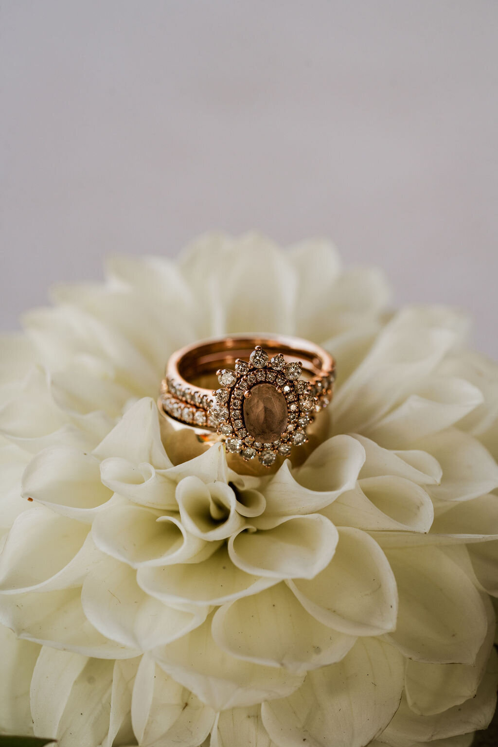 michigan wedding photographer3