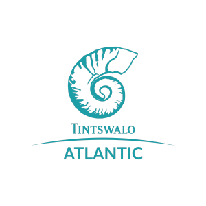 Tintswalo