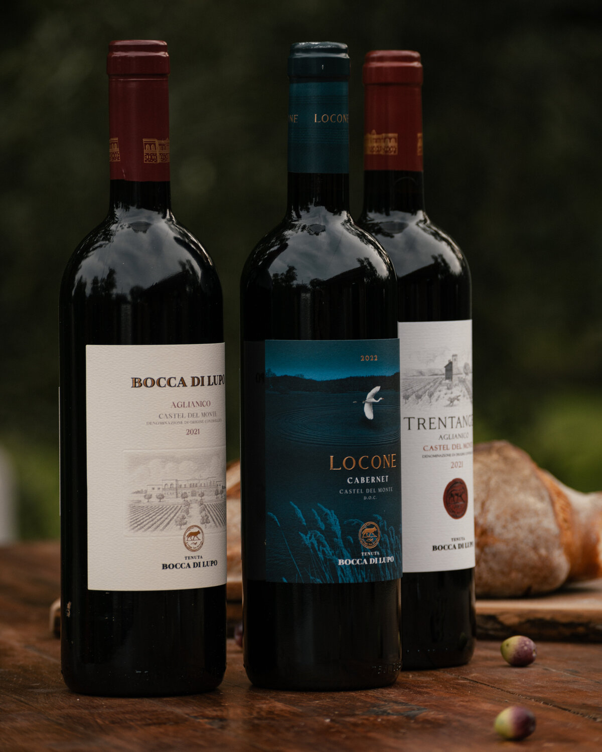 24Nov2025_BoccaDiLupo-88