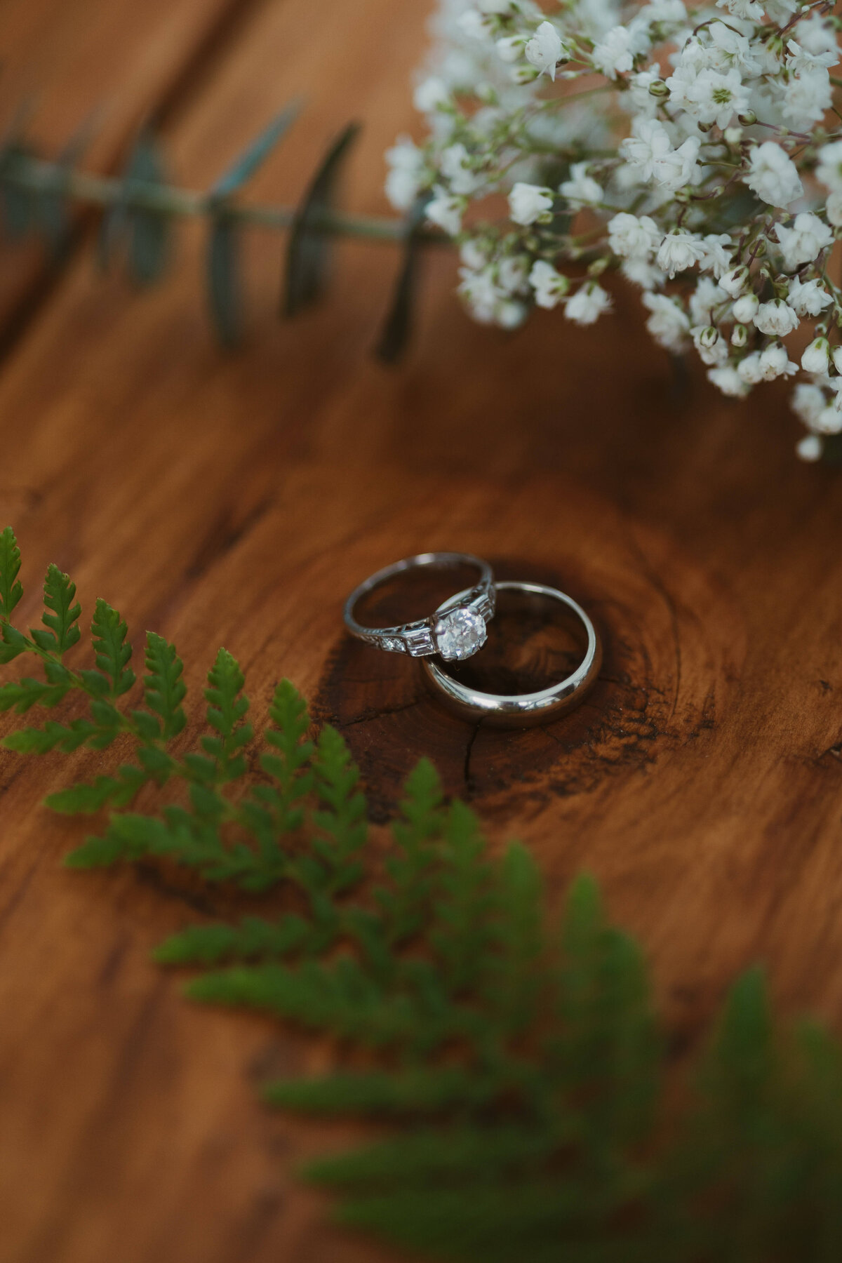 Julia-Justin-Wedding-2024-635