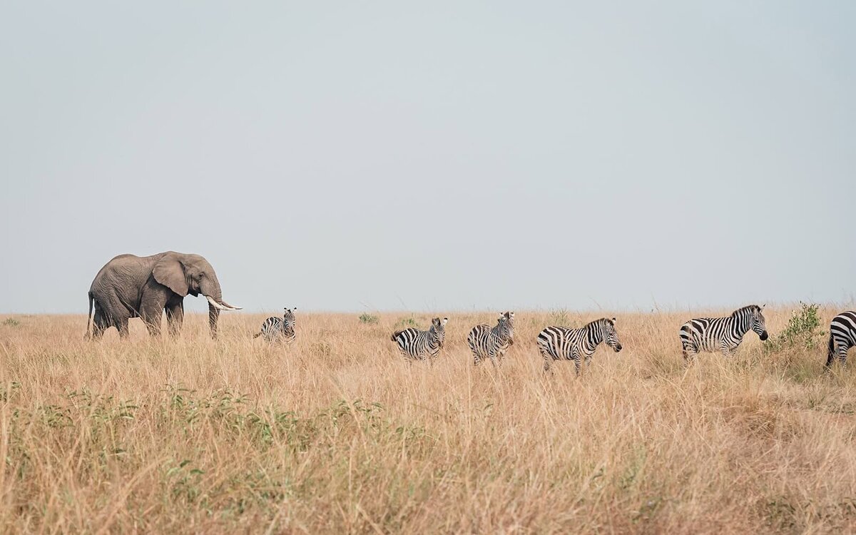 How-to-plan-a-romantic-safari-elopement-wedding-in-Kenya-4-Soul-and-Sky-Weddings