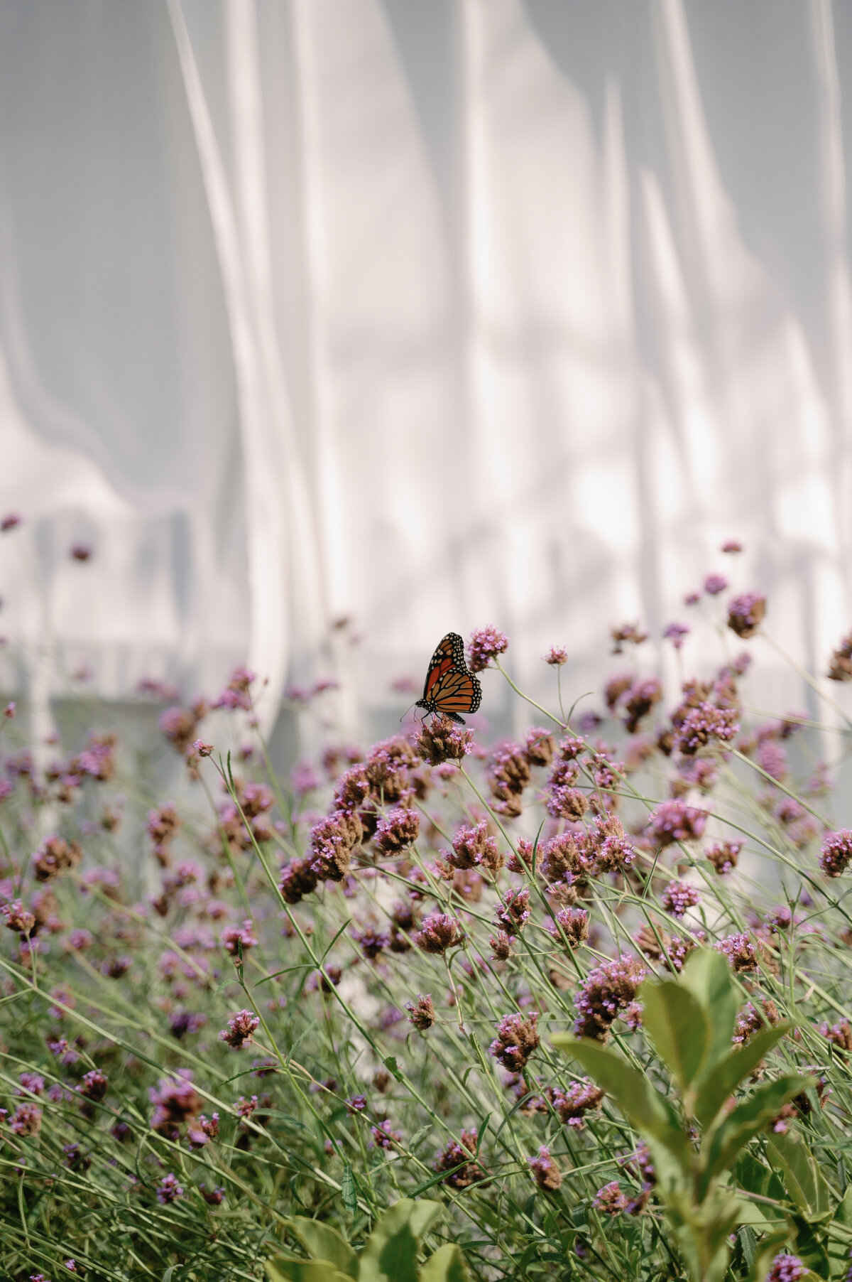 Destination-Wedding-Photographer-Erica-And-Max-Jenna-Martin177