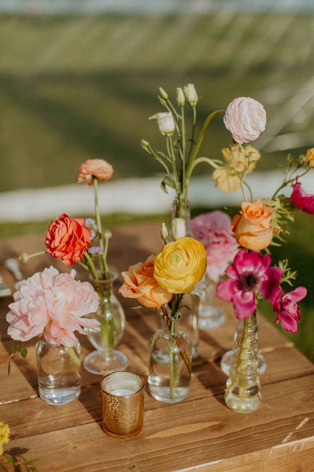 s+c_winterhavenwedding-362