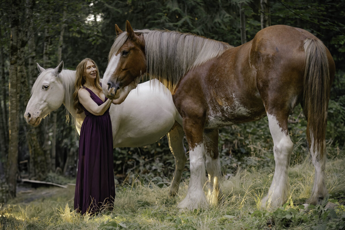 seattle-equine-photographer
