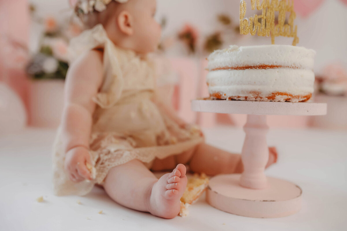 Cake-Smash-Photographer-Asheville-11