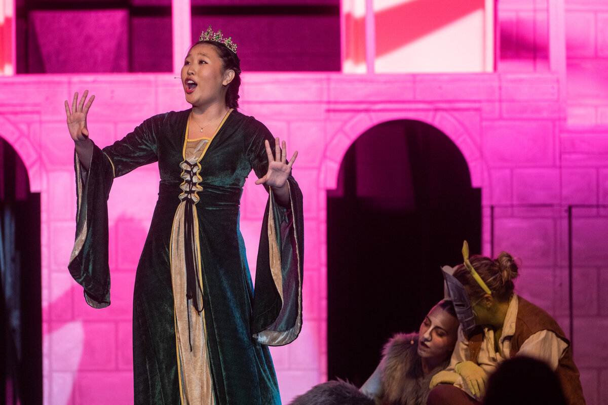 Linnea_Farnsworth_Photography_Washington_DC_Northern_Virginia_Musical_Stage_Photography_4