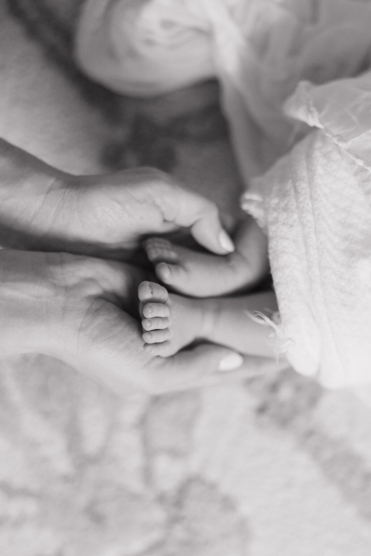 The Riddell Family | Newborn-0029