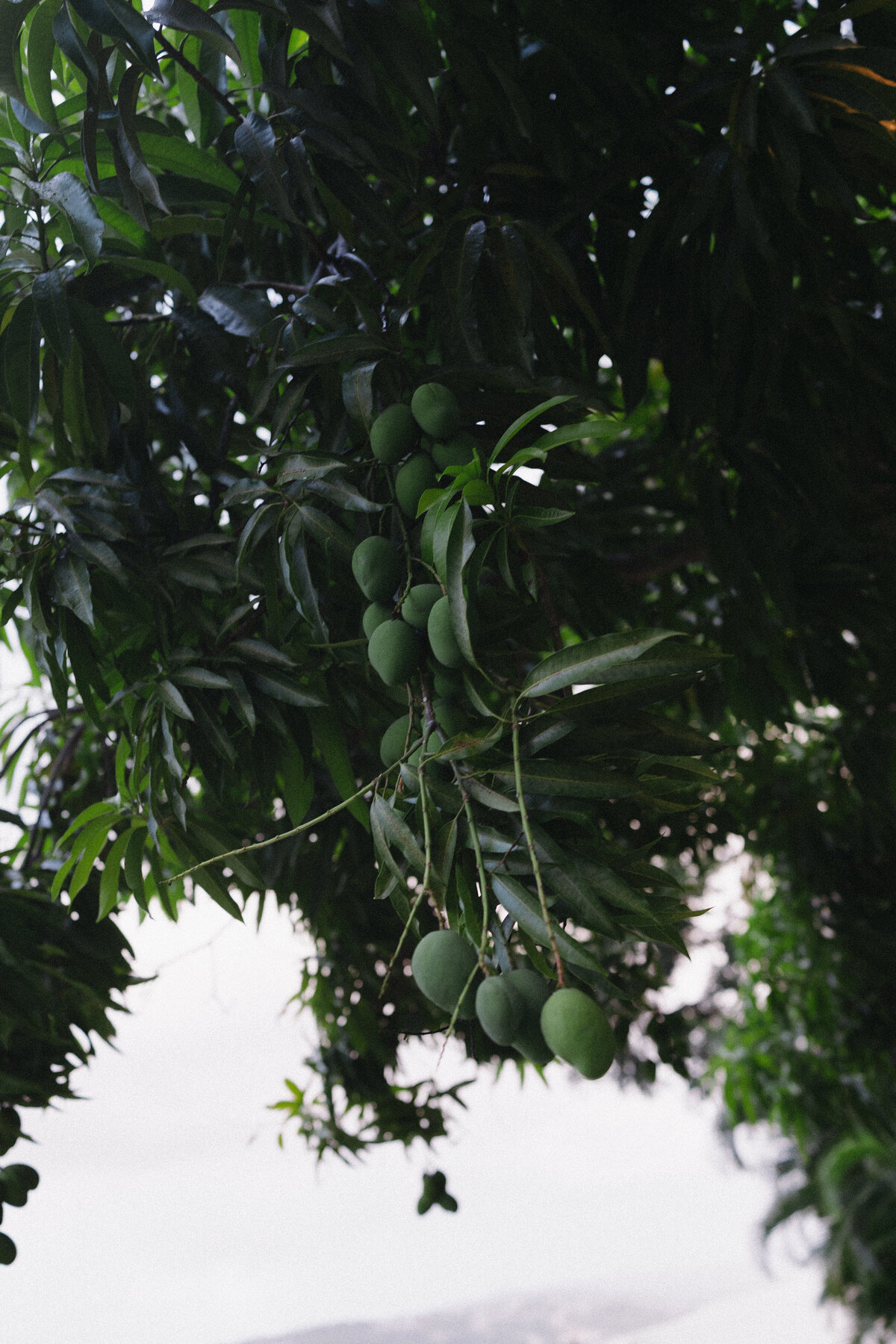 250509HANTYL-adv0003