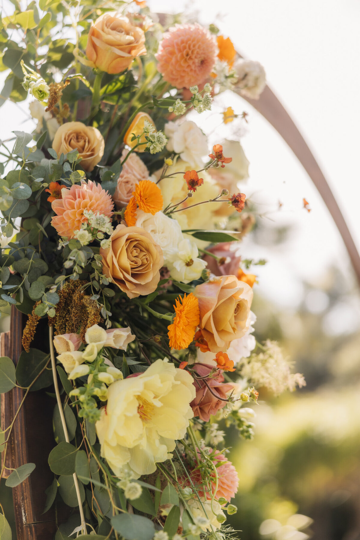 TrevorMorrisonPhoto_0019