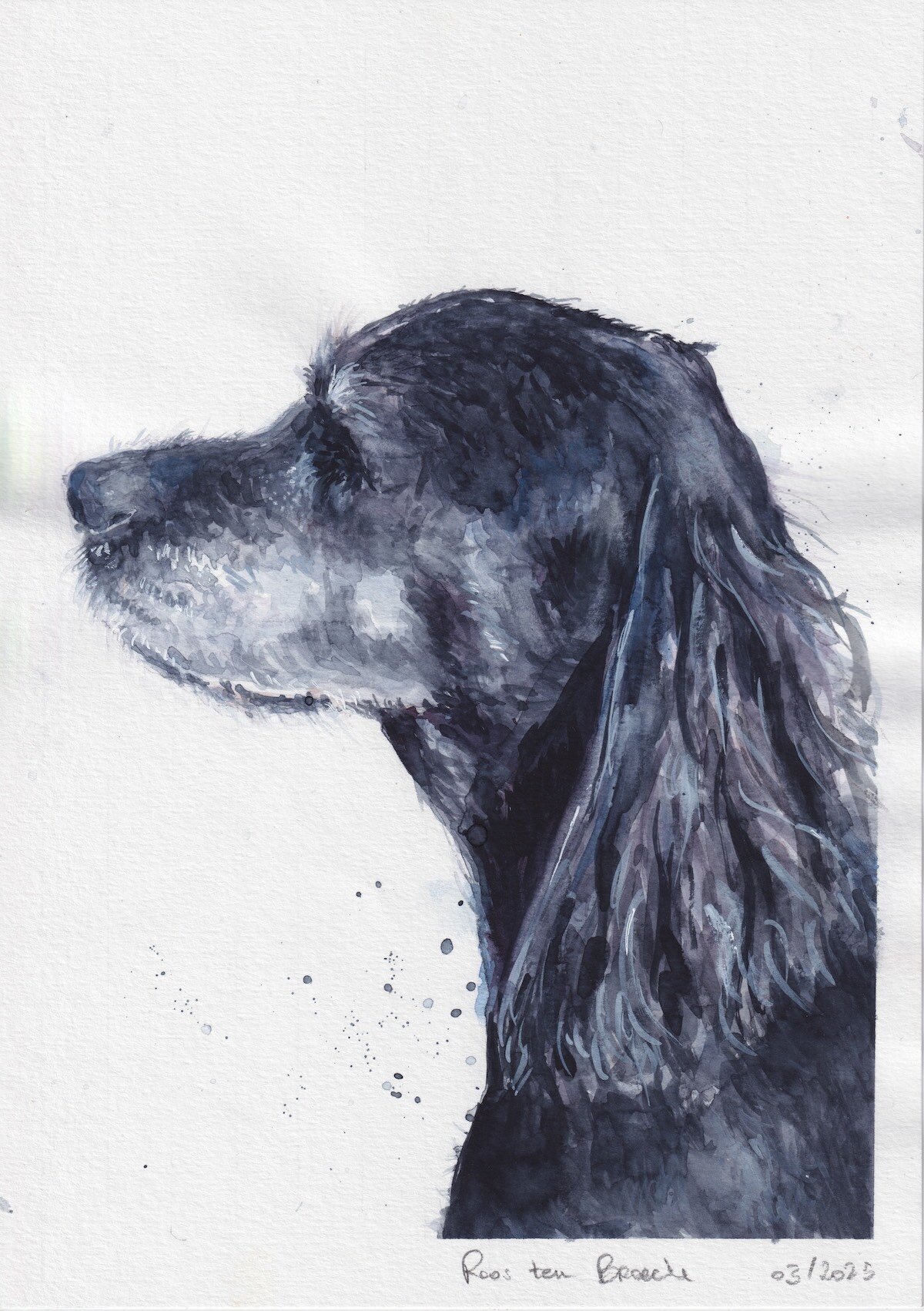 Portret van hond bieke