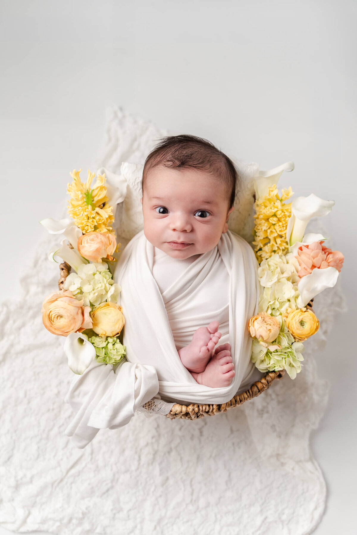 DSC08776-Edit