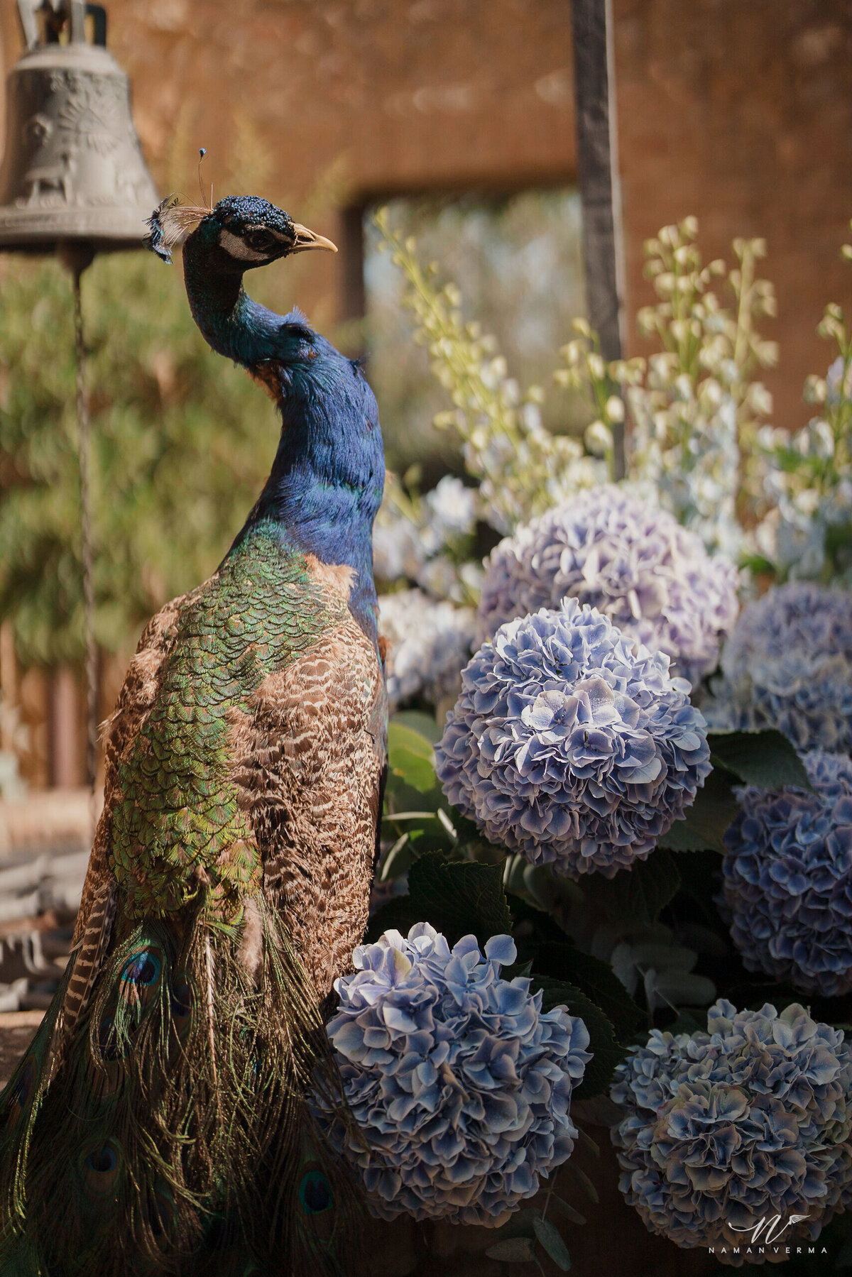 Indian_Wedding_Tuscany_Mehendi_Eventoile_1