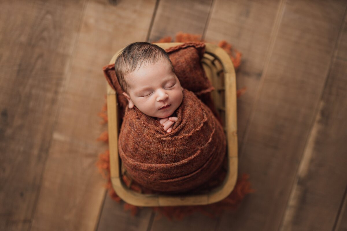 newborn poses in crate during photography session in tampa