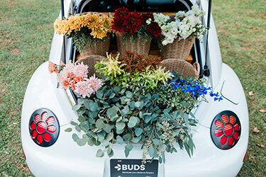 Horn Photography & Design Buds - 0078_