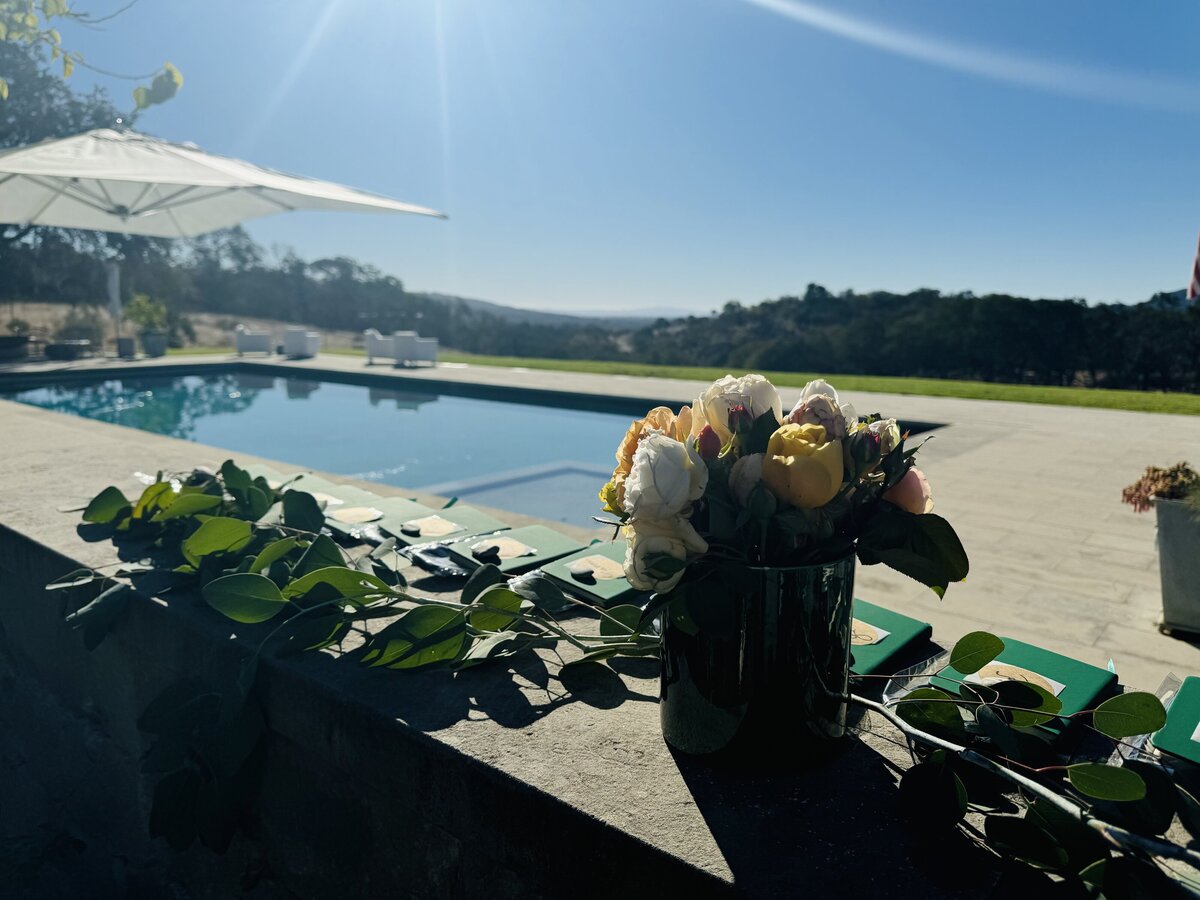 claudia Fulga retreats-california executive coach-new14