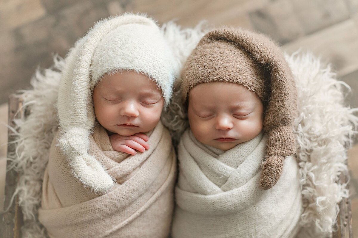 studio newborn mini session twin girls - brandi watford photography_0007