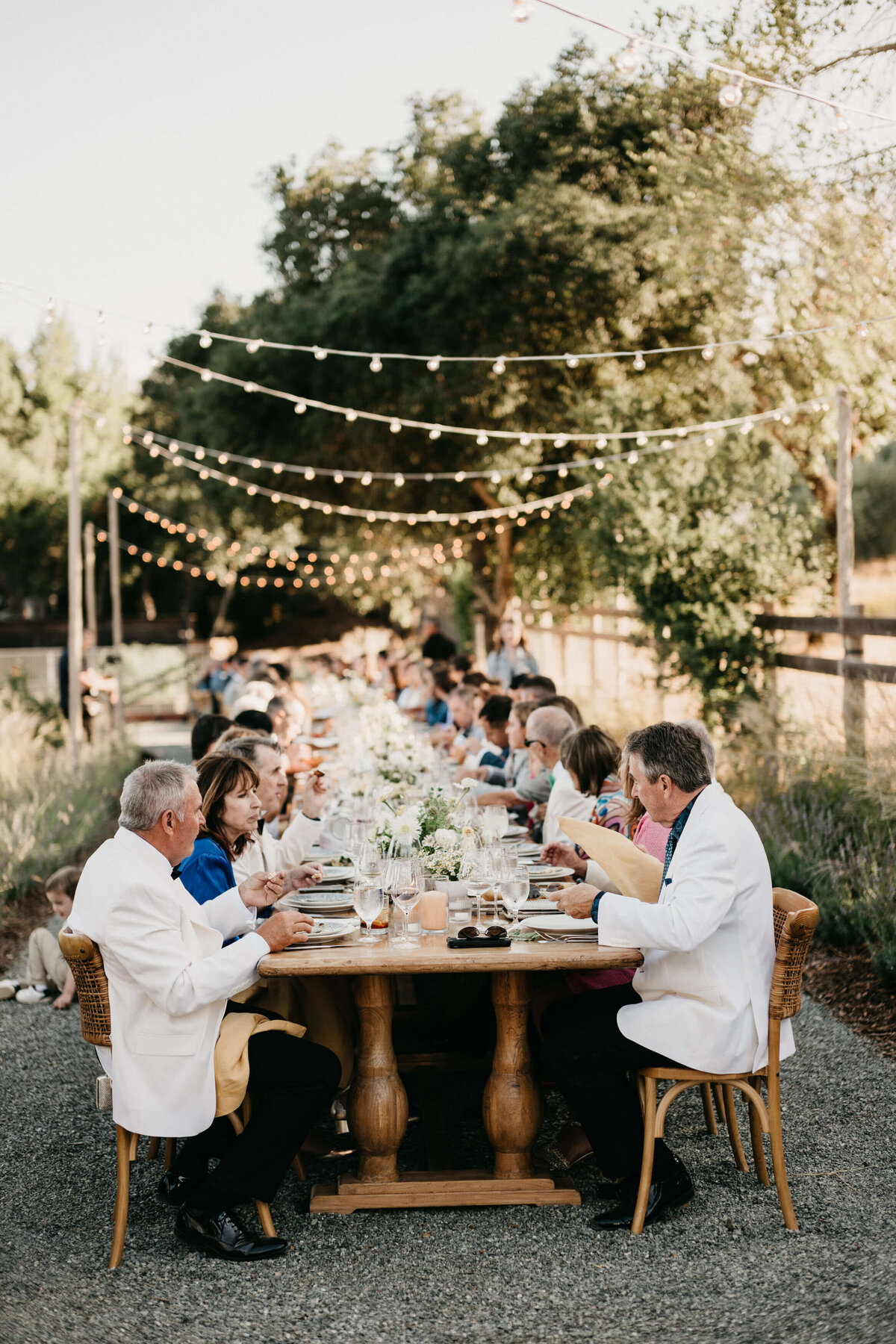 Sonoma Private Estate Wedding Long table vineyard