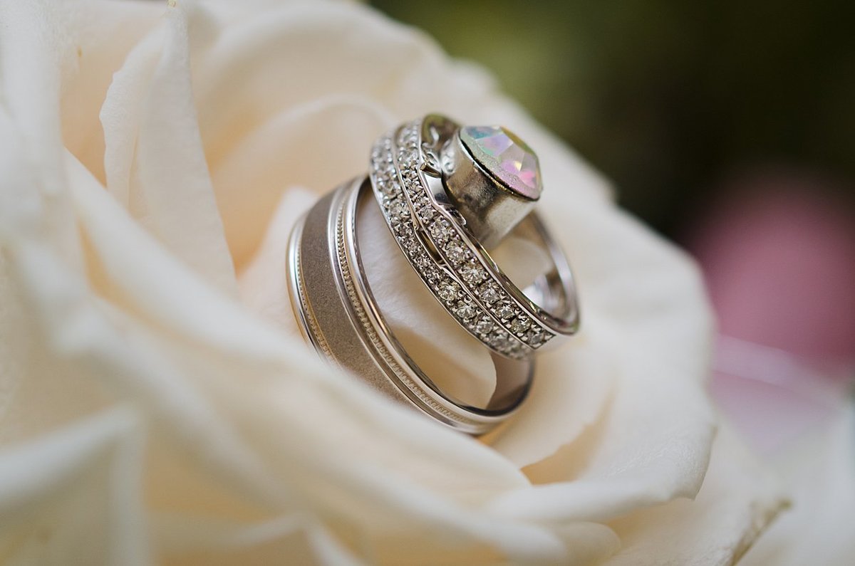 Silver engagement and wedding rings on off white rose