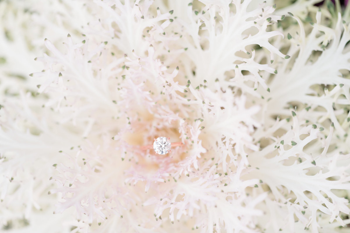 Jennifer B Photography-Richard & Casey-Engagement-2019-0121