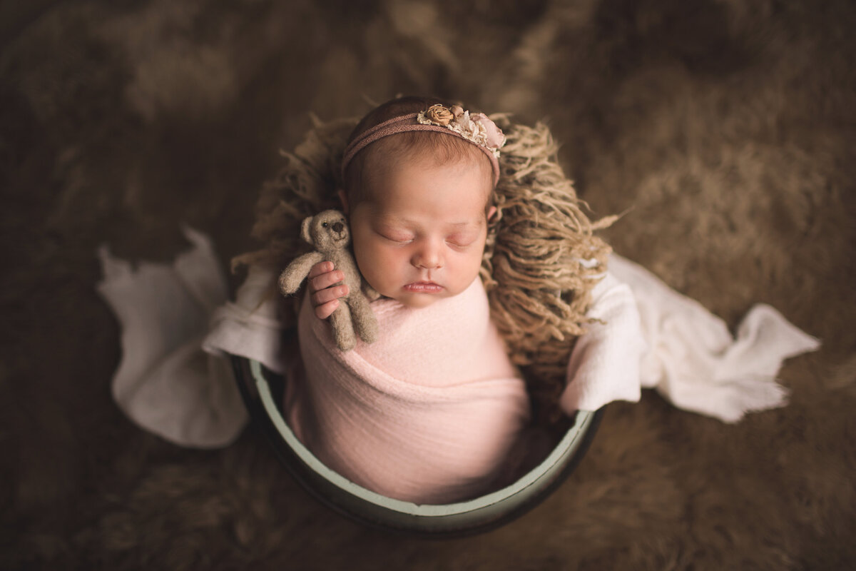 Serafina_12