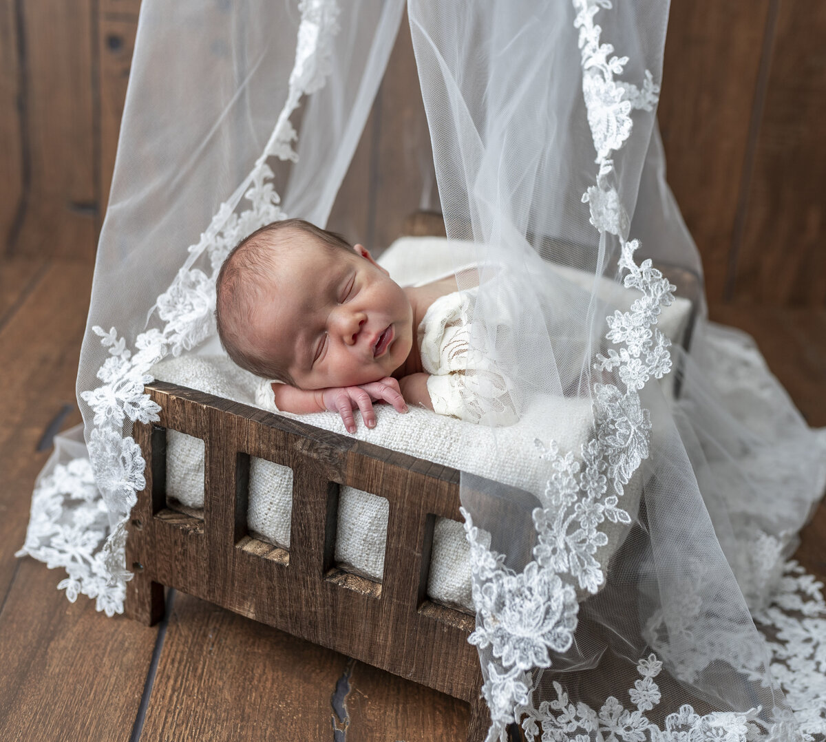 Baby veil newborn portraits
