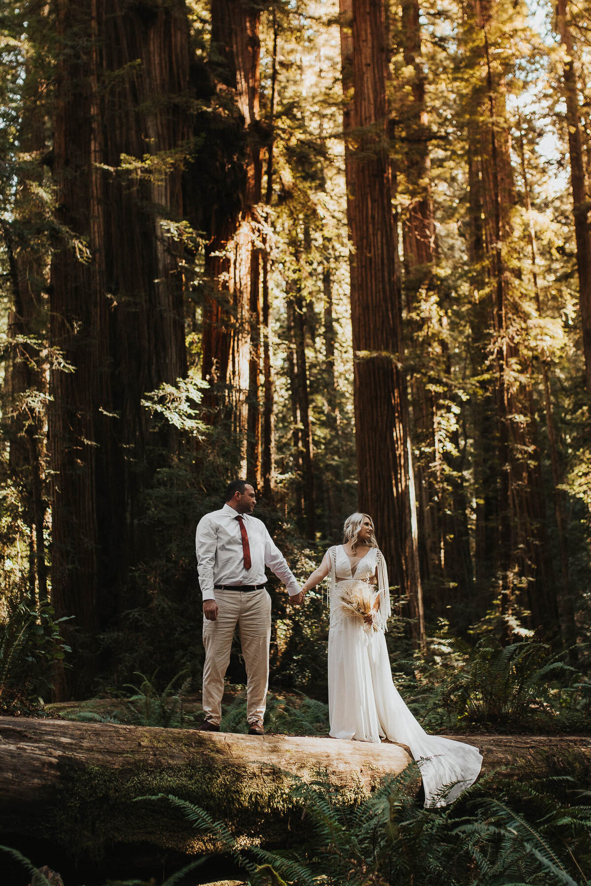 jedediah smith redwoods state park photography