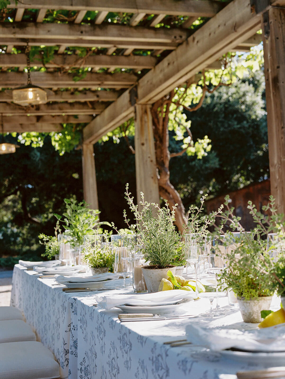 holman- ranch-carmel-valley-california-wedding-chelsea-brooke-events (121)