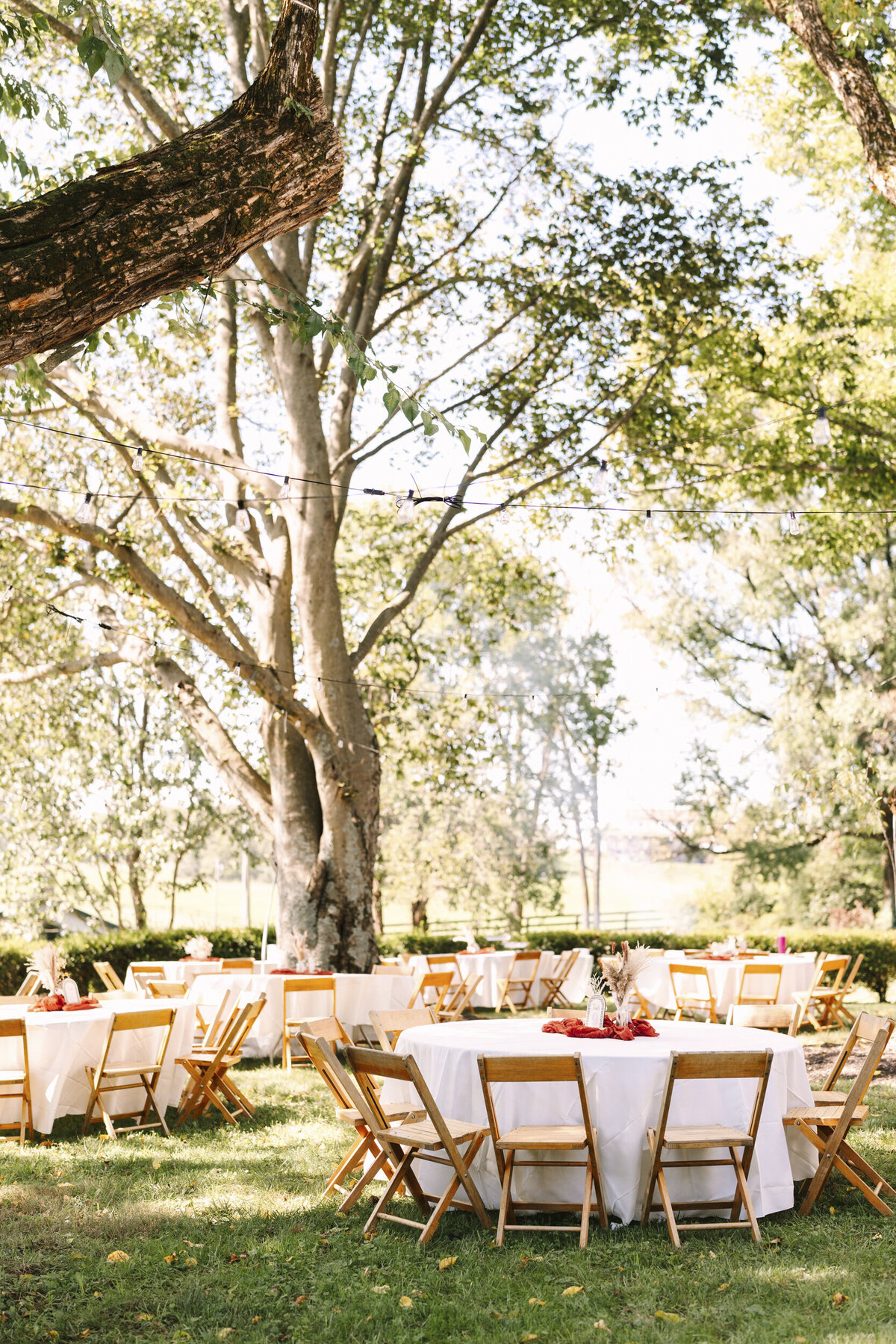 WVWedding-45