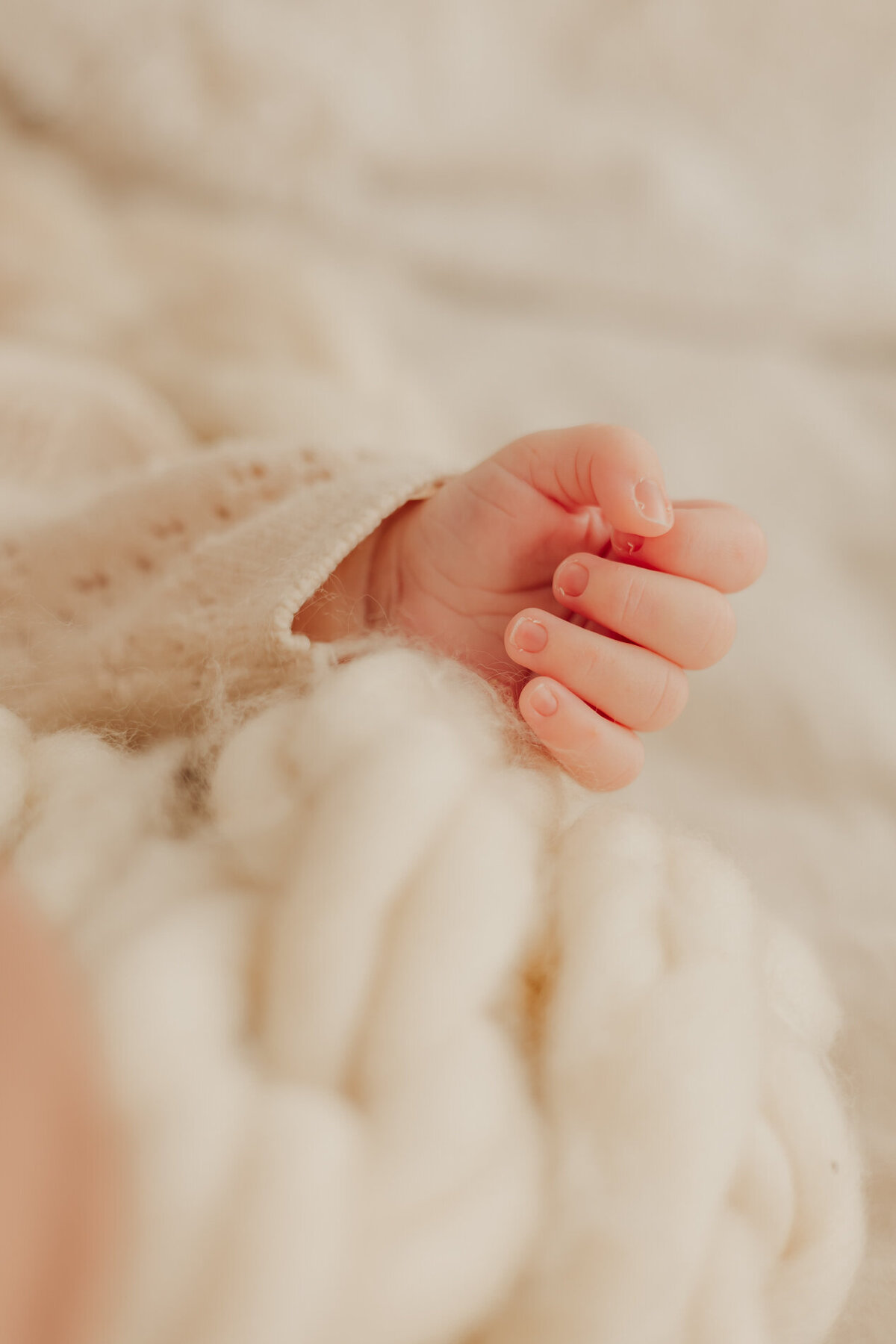 Frombumptobaby-newborn-baby-16