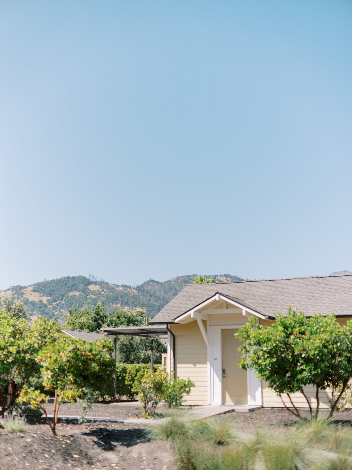 Solage Napa Wedding Photo-3