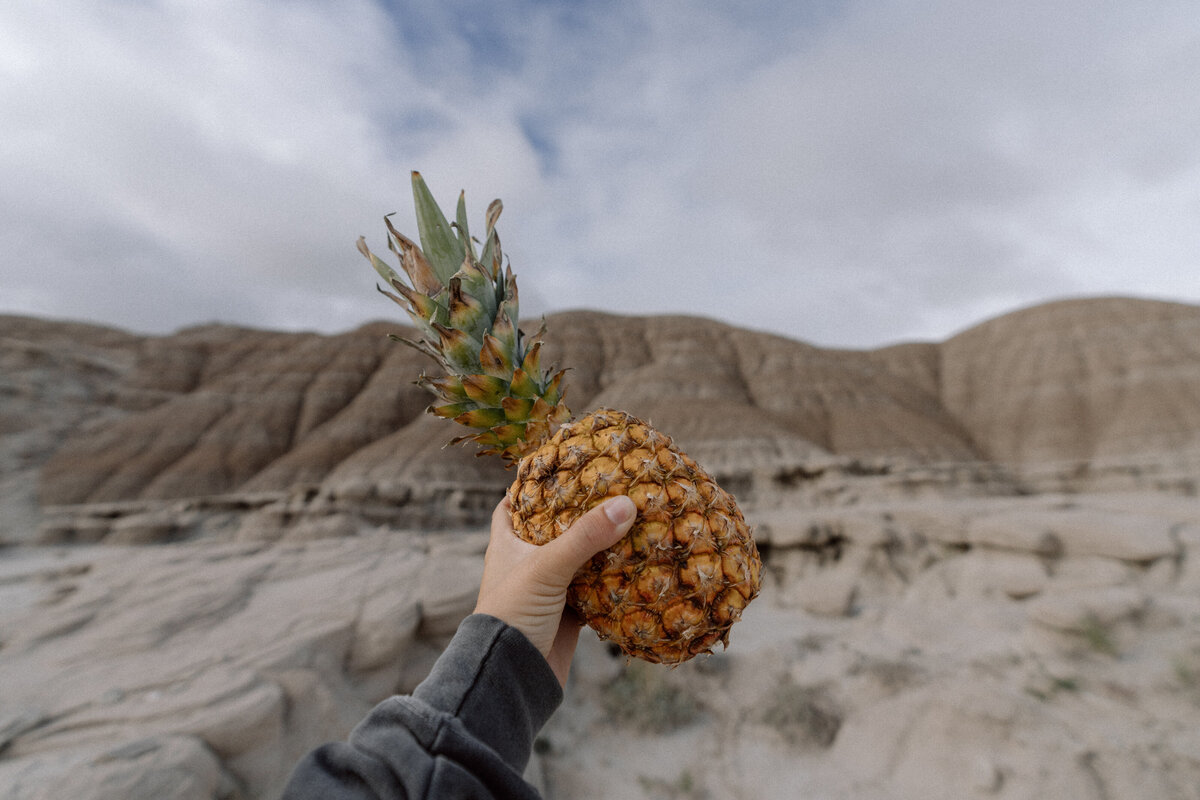 The Pineapple Wagon Overlanding Husband Wife Duo Nebraska Geological Park