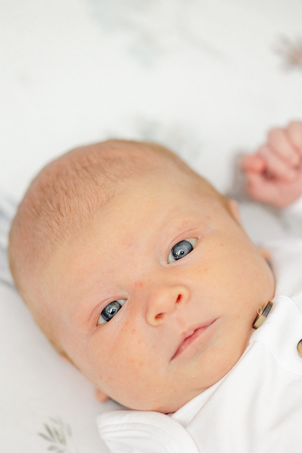 Tripp Daniel Addison-92