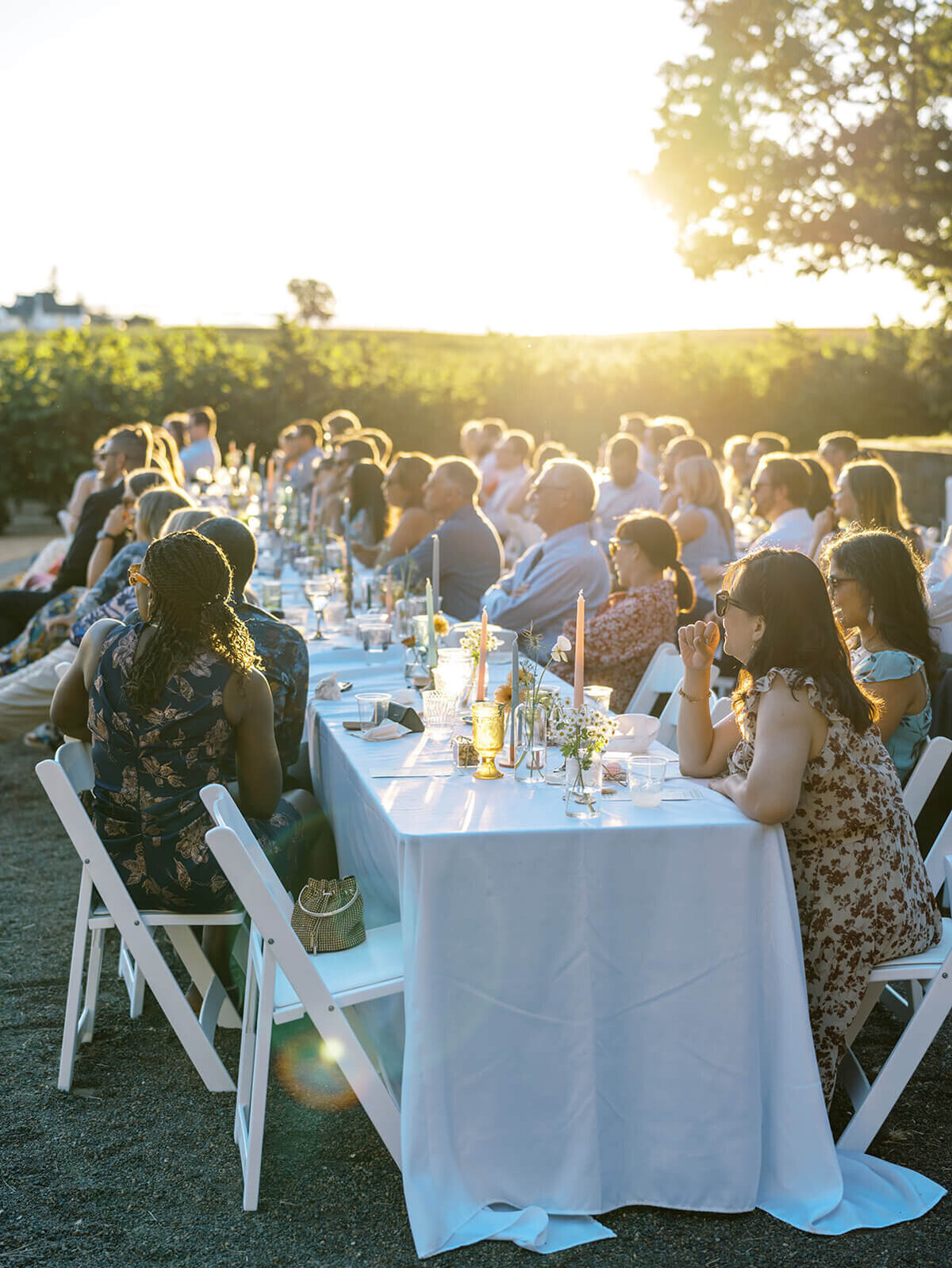 People seated at a table at an outdoor wedding reception.