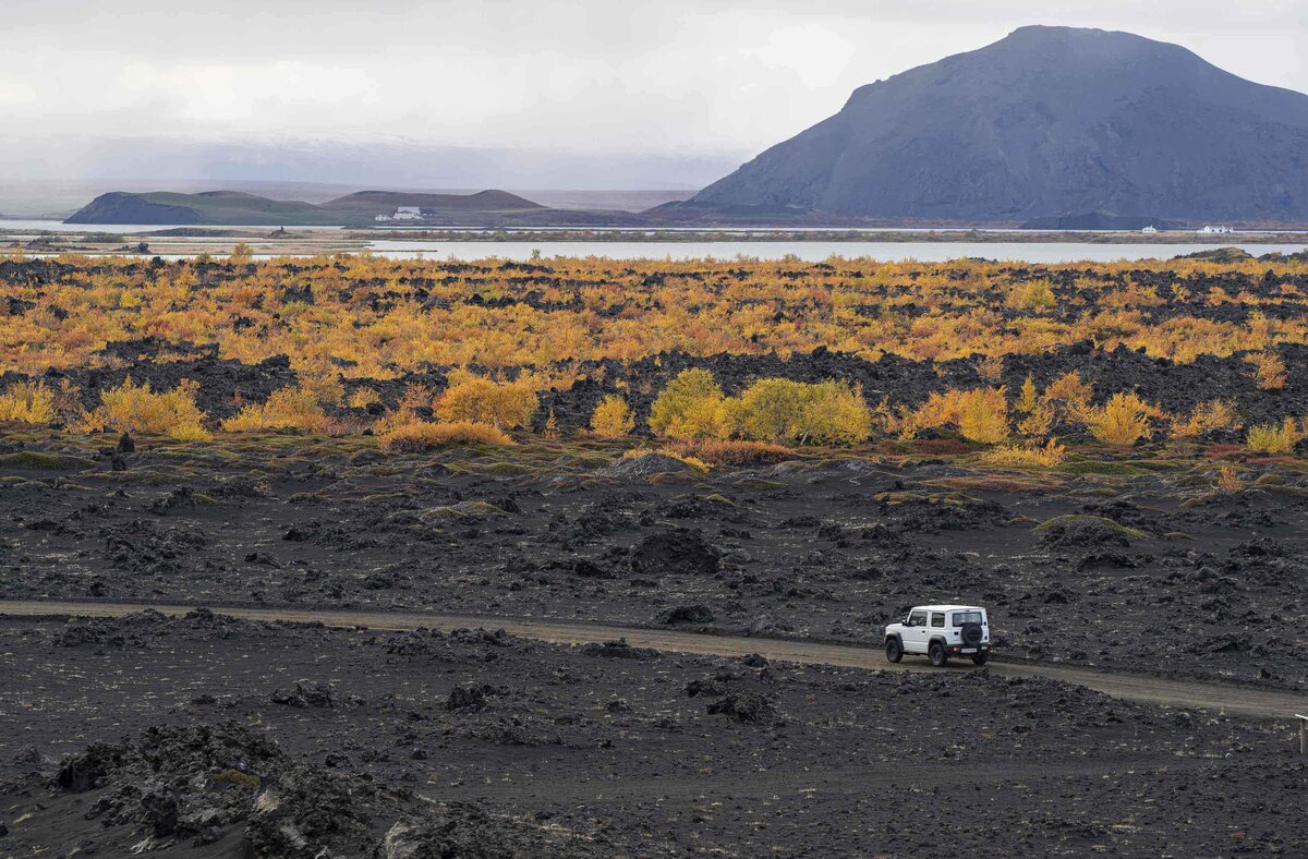 Autumn in North Iceland Fall Foliage Photography _ By Stephanie Vermillion